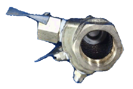 ����ר����ĭ��ͷ